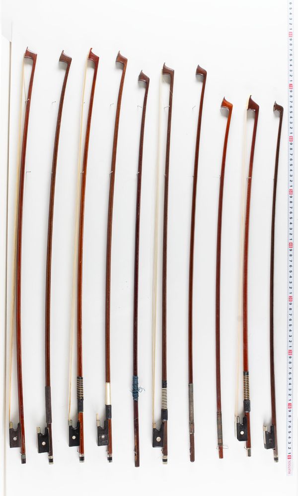 A bundle of thirteen bows and three bow sticks, varying lengths and sizes