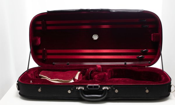 A double violin case, branded J. T. L.