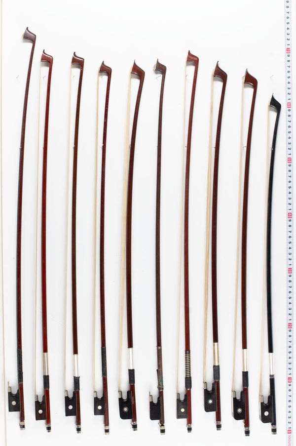 Six violin bows and four cello bows, various lengths