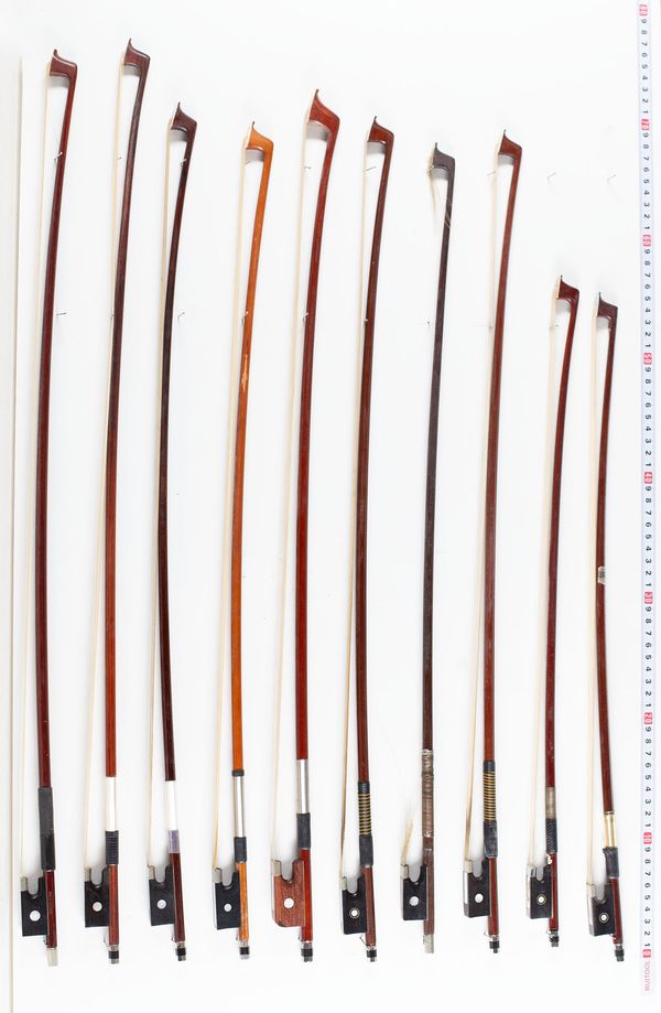 A bundle of twenty bows, varying lengths and sizes