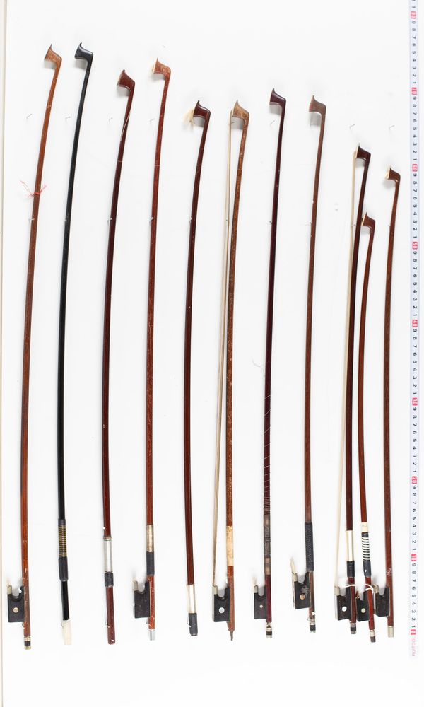 A bundle of twenty bows, varying sizes