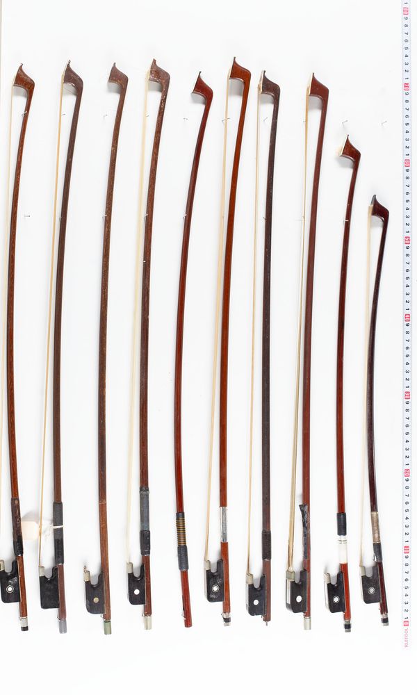 A bundle of twenty bows, varying sizes