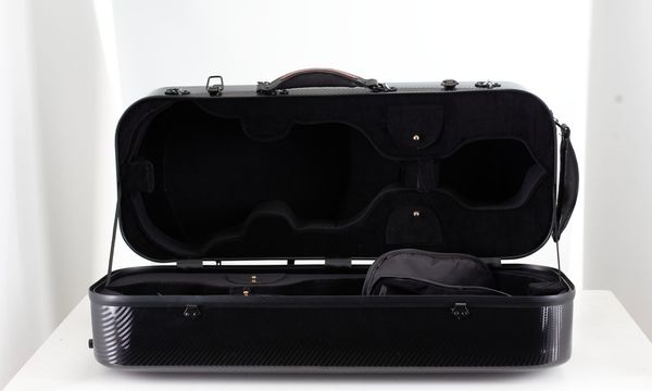 A double violin case, unbranded