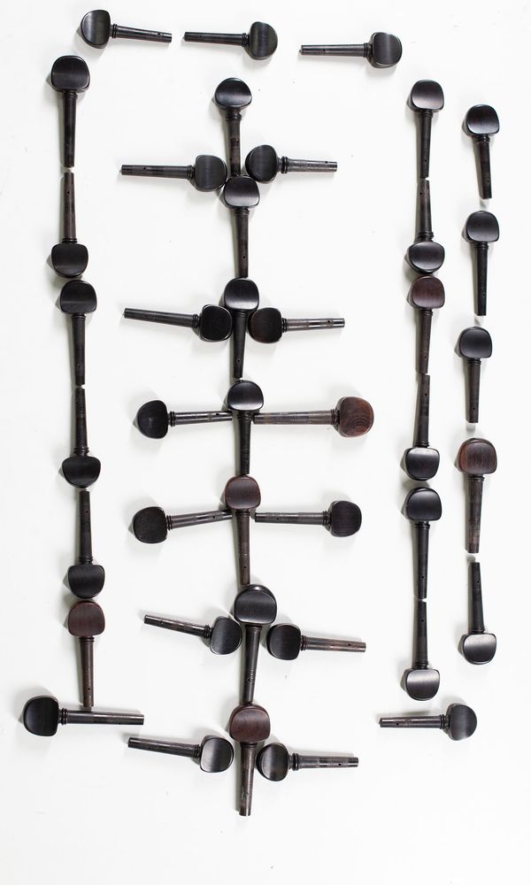 A bundle of fifty cello pegs, varying sizes