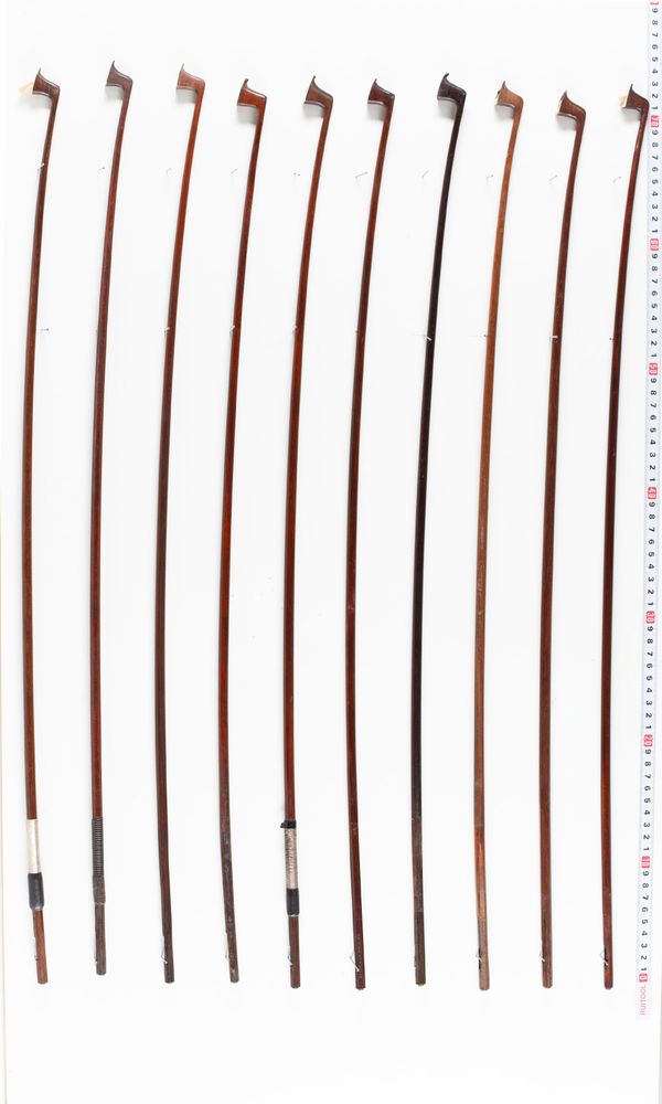 A bundle of seventeen bow sticks, varying sizes