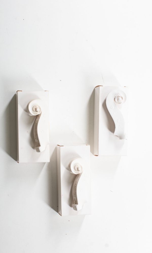 Three Tononi scroll casts
