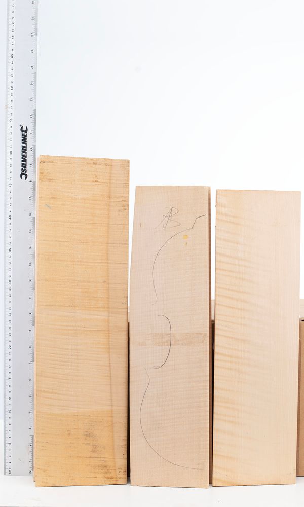 Five violin backs, maple