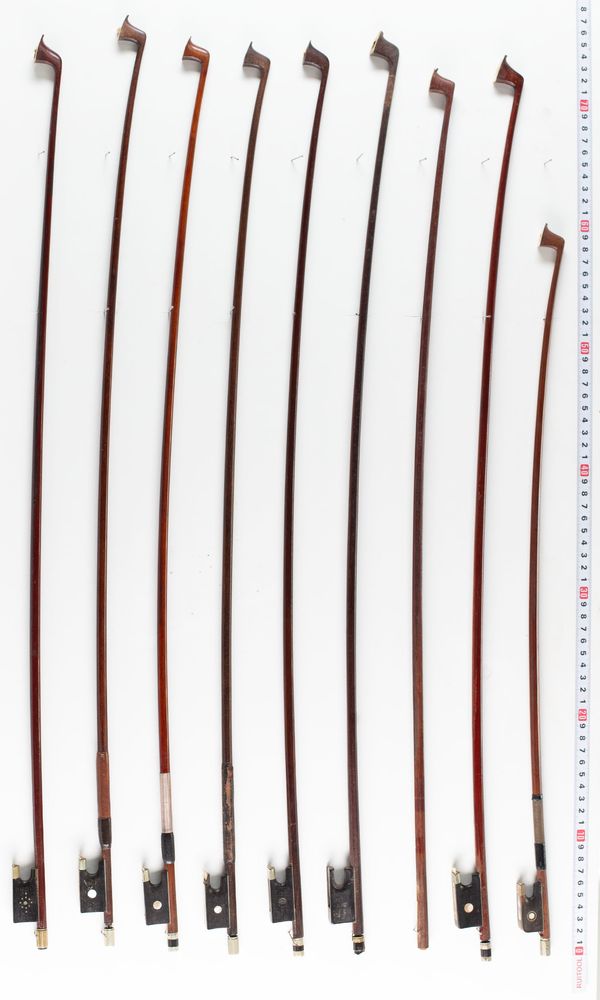 Nine bows and three frogs, varying sizes