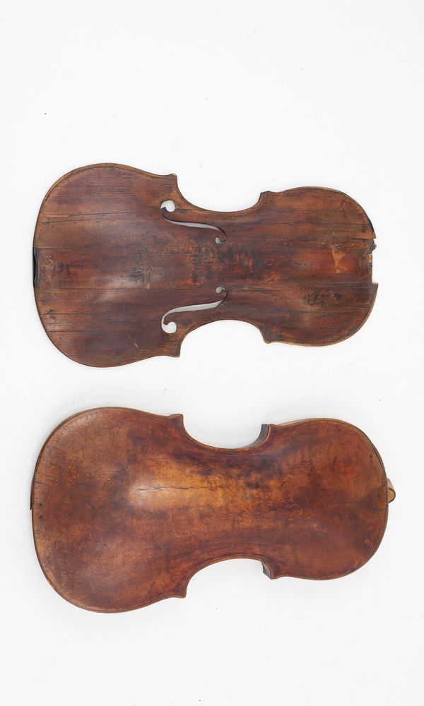 A violin body