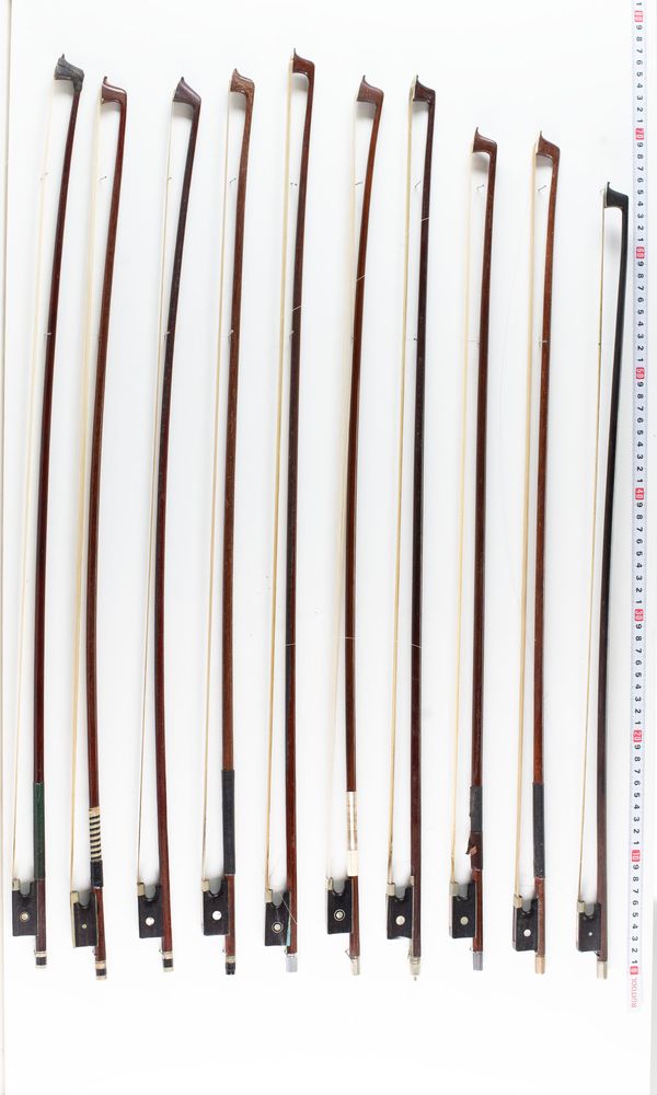 A bundle of twenty bows, varying lengths