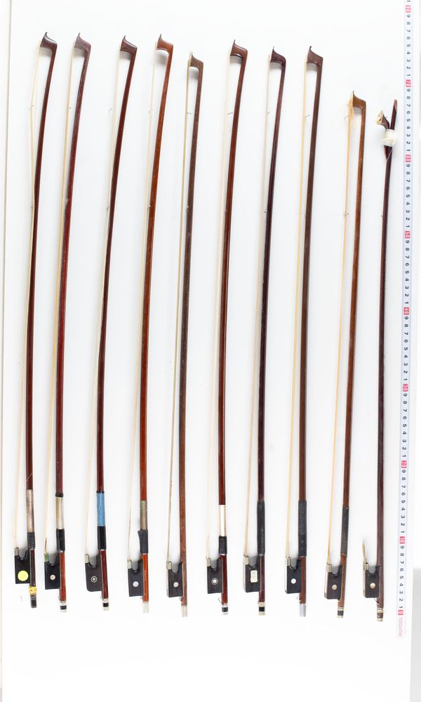 A bundle of twenty bows, varying lengths
