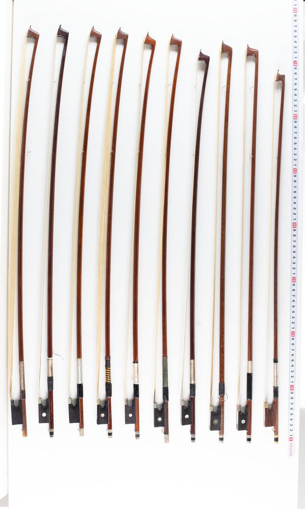 A bundle of twenty bows, varying lengths