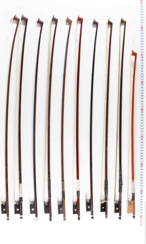 A bundle of twenty bows, varying lengths