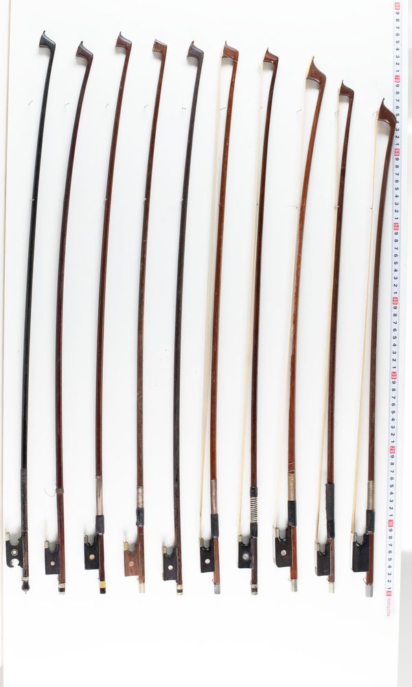 A bundle of twenty bows, varying lengths