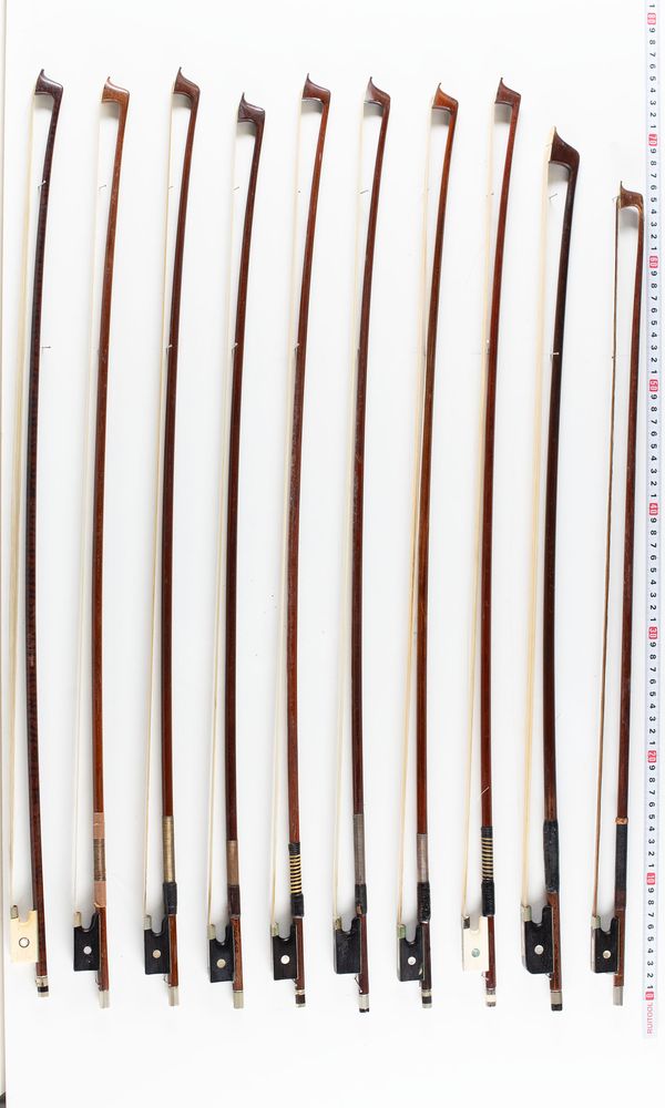 A bundle of twenty bows, varying sizes