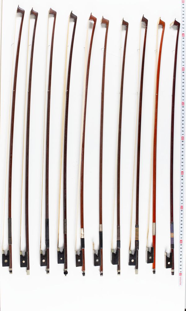 A bundle of twenty bows, varying sizes