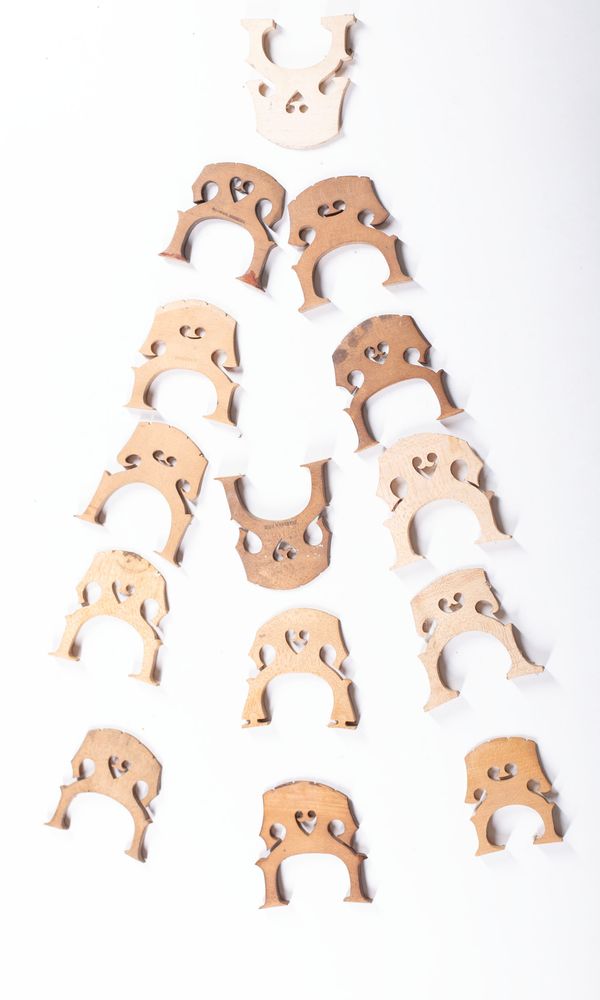 A bundle of two double bass bridges and sixteen cello bridges, varying sizes