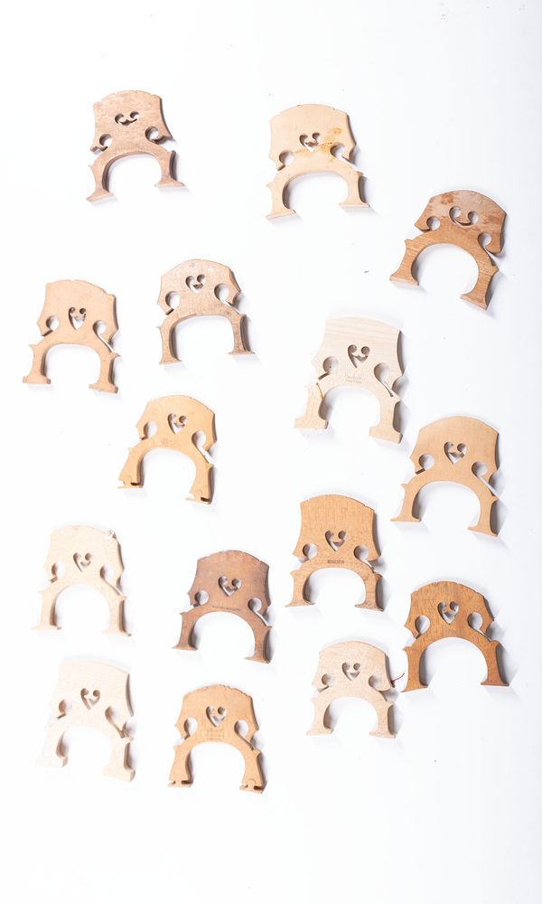 A bundle of thirty-eight cello bridges, varying sizes