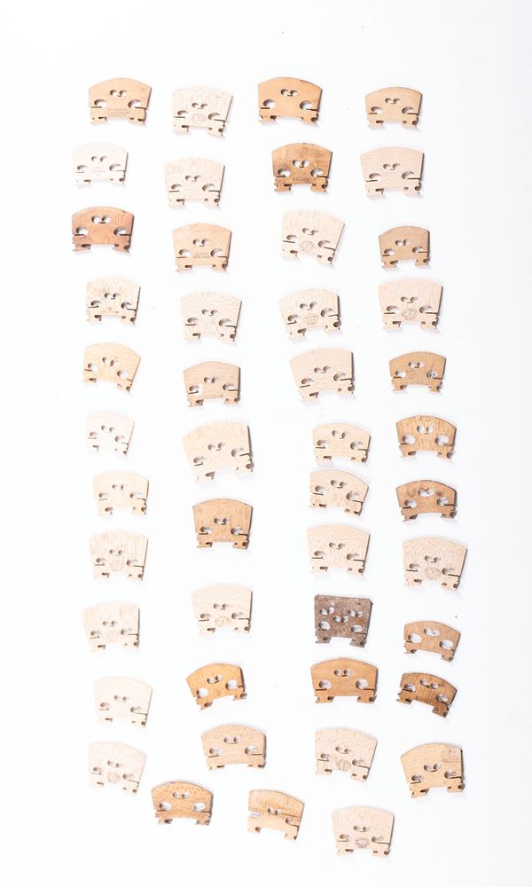 A bundle of one-hundred and sixty-eight violin / viola bridges, varying sizes