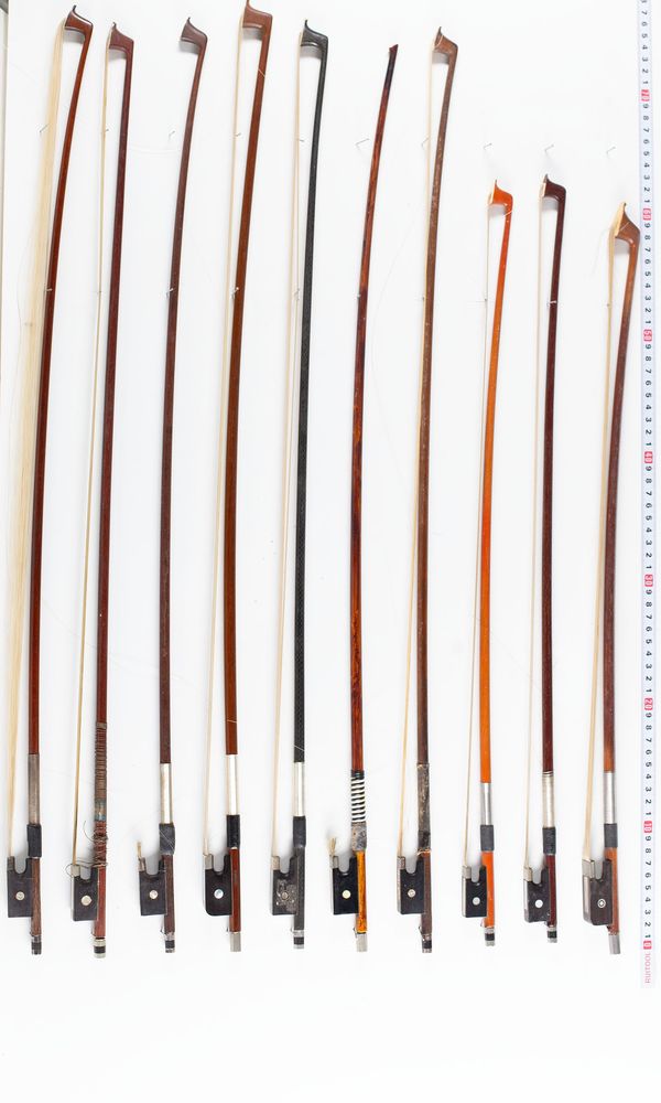 A bundle of twenty bows, varying lengths and sizes