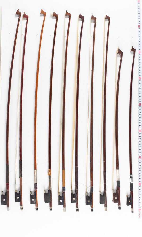 A bundle of twenty bows, varying lengths and sizes