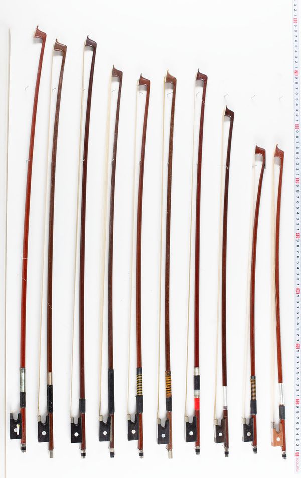 A bundle of twenty bows, varying lengths and sizes