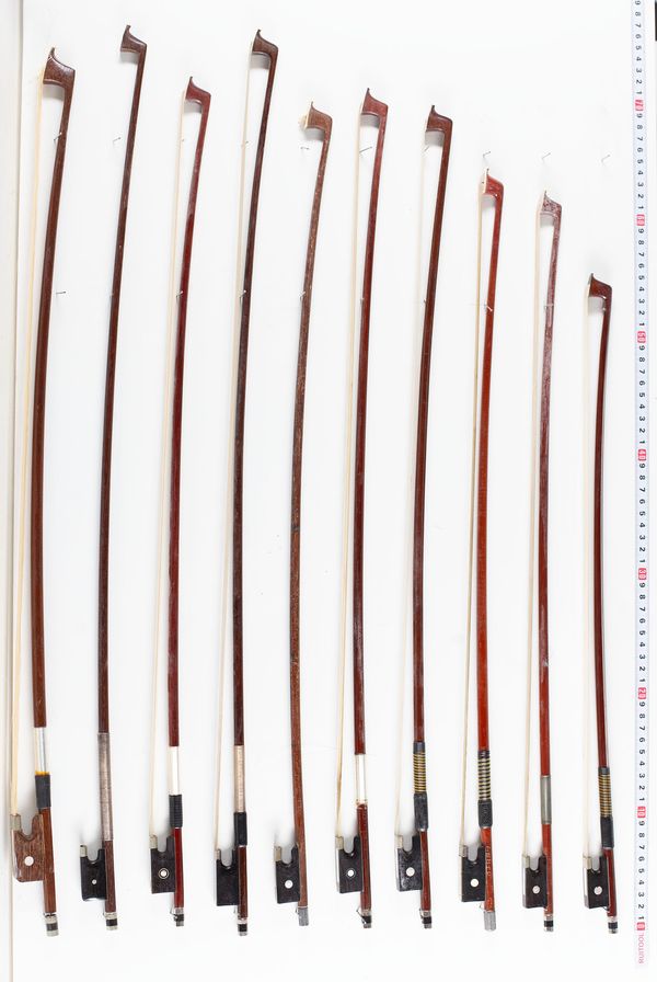 A bundle of twenty bows, varying lengths and sizes