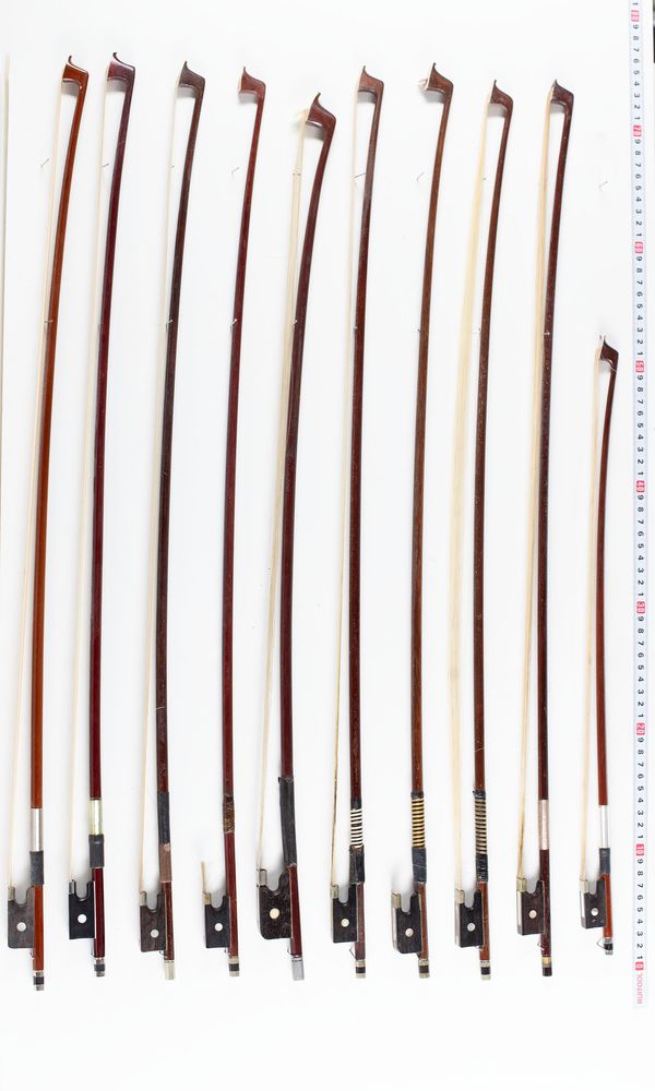 A bundle of eighteen bows, varying lengths and sizes