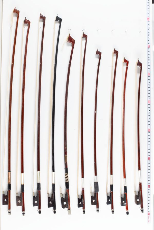 A bundle of twenty bows, varying lengths and sizes