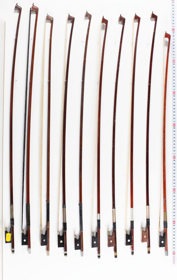 A bundle of twenty bows, varying lengths and sizes