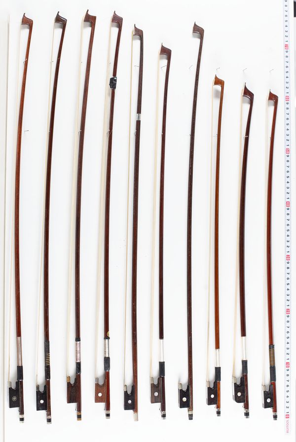 A bundle of twenty bows, varying lengths and sizes