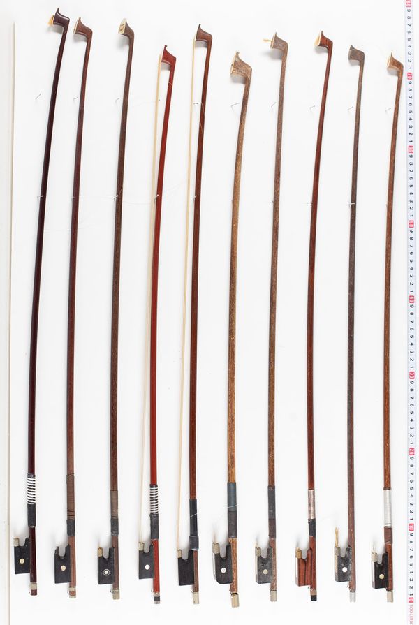 A bundle of twenty bows, varying lengths and sizes