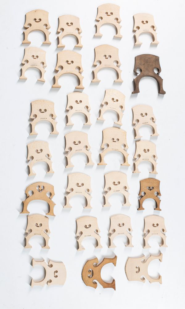 Thirty cello bridges