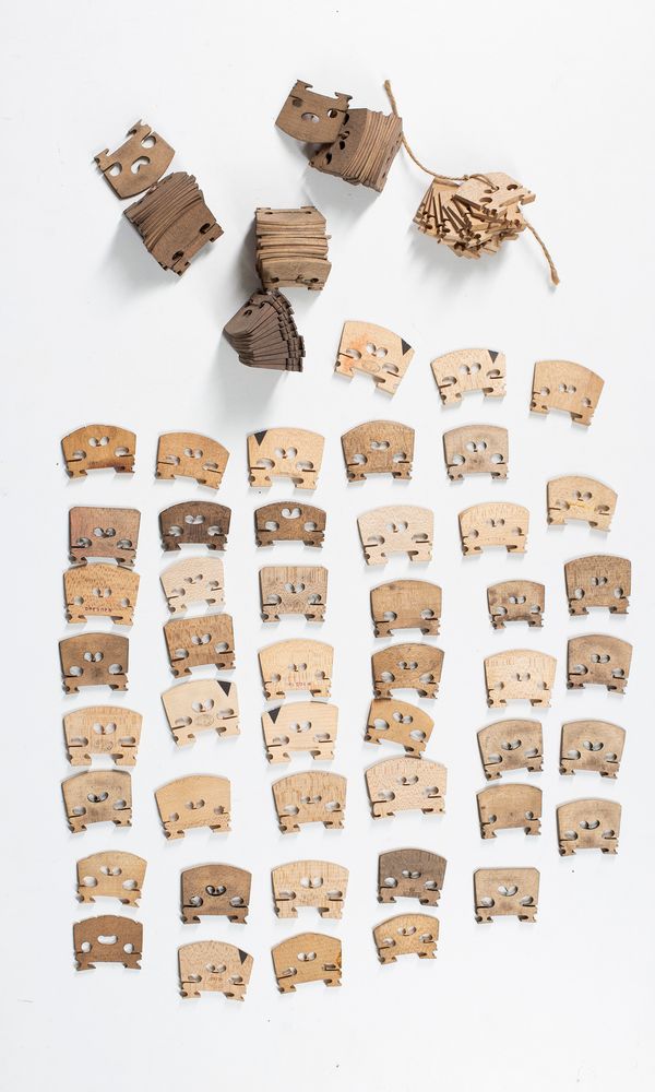 A large quantity of bridges, various sizes