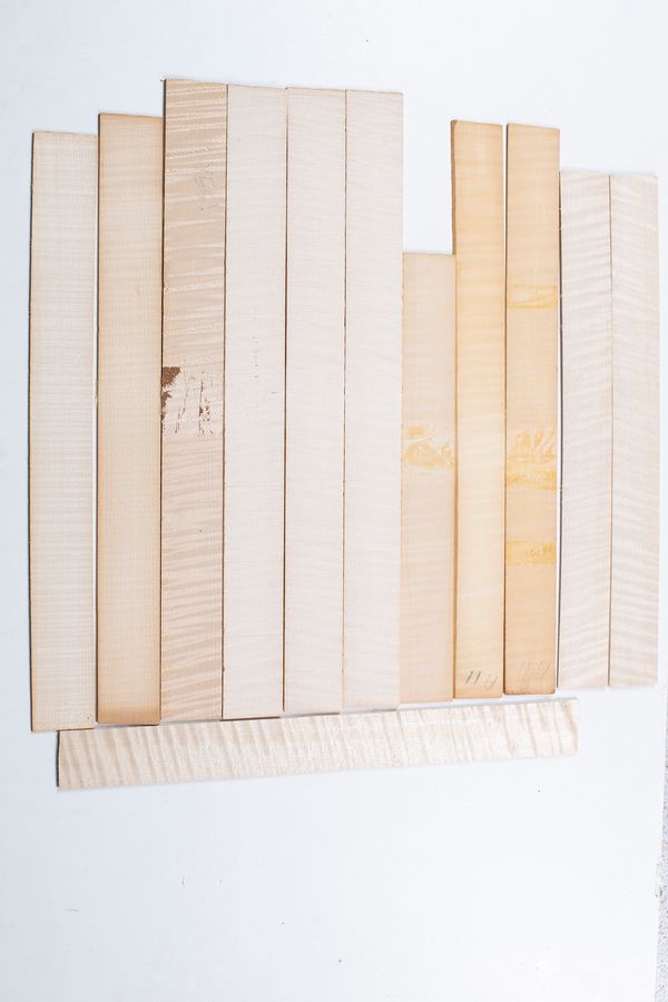 Twelve violin ribs, maple