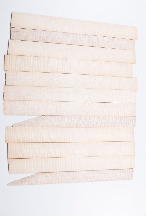 Twelve violin ribs, maple