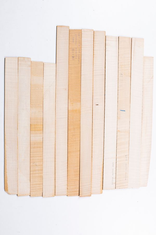 Twelve violin ribs, maple