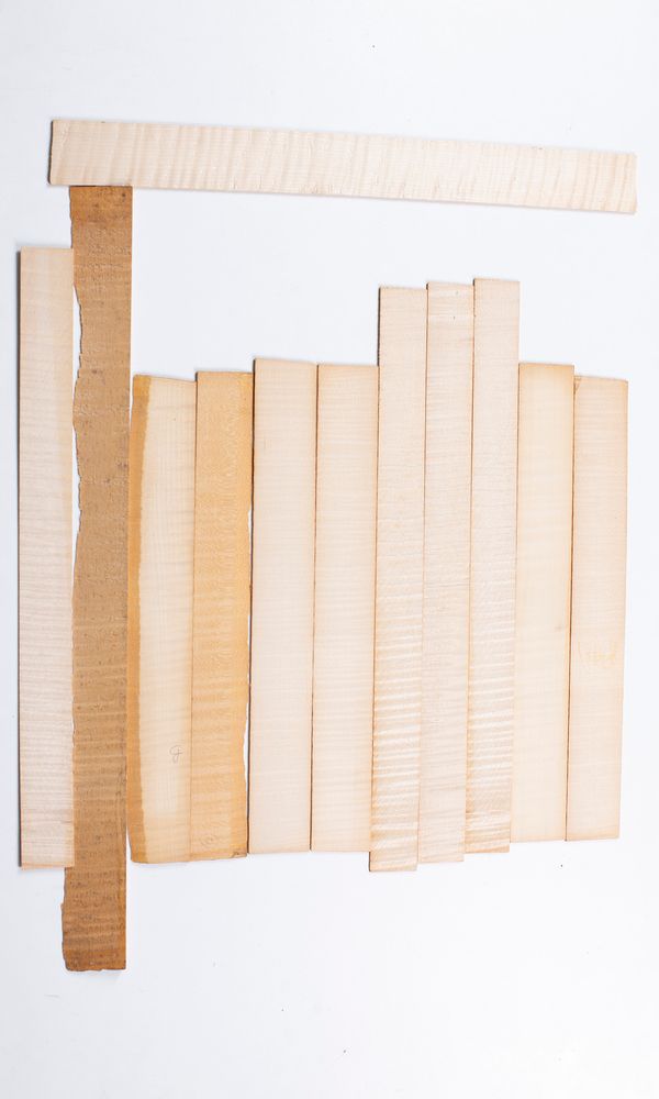 Twelve violin ribs, maple