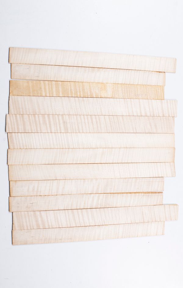 Twelve violin ribs, maple