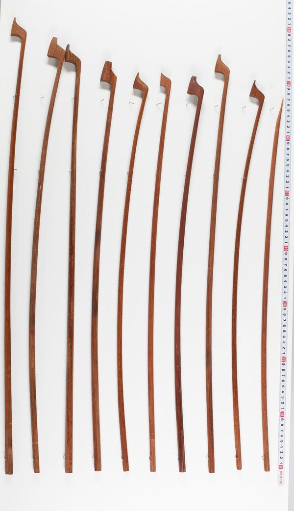 Ten partially made pernambuco bows, various sizes