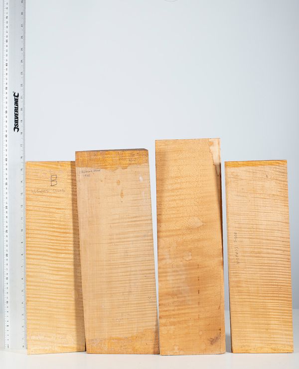 Four violin backs, maple