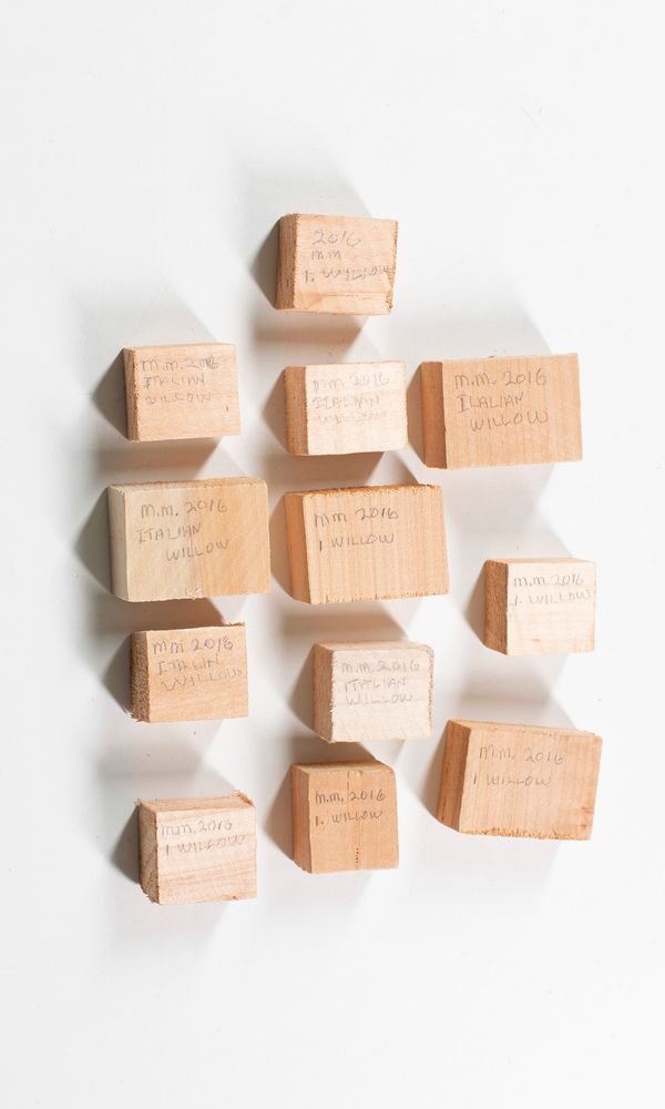 Twelve willow blocks