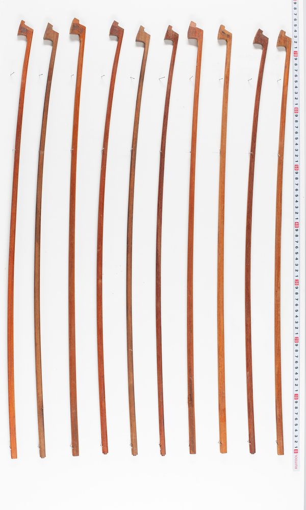 Ten pernambuco bow blanks