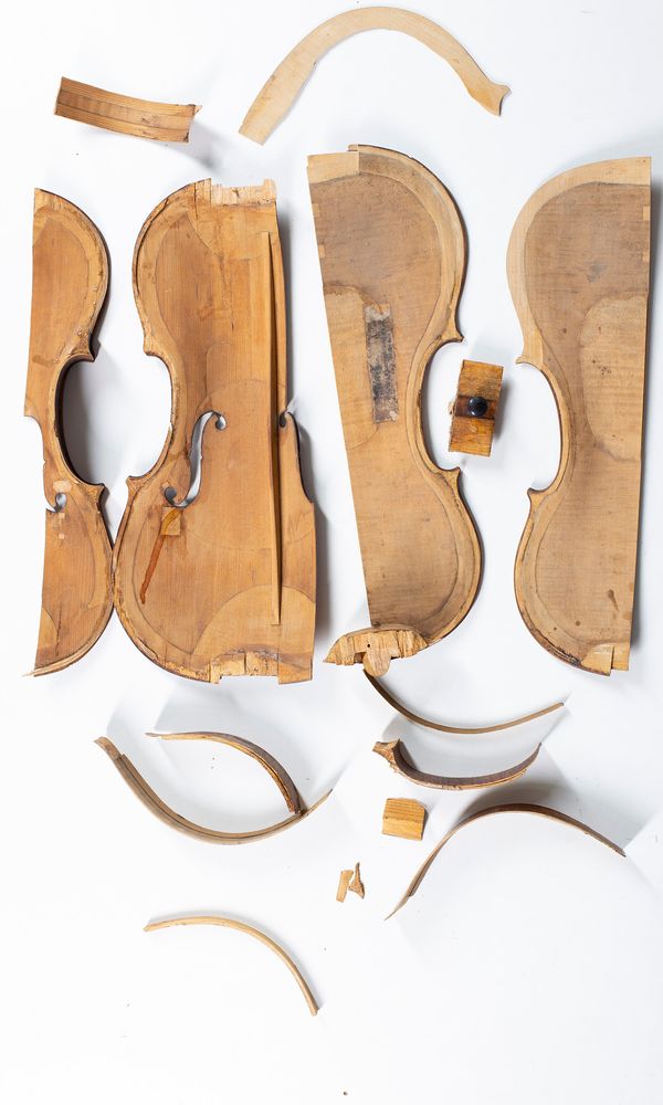 Part of a violin, labelled ....