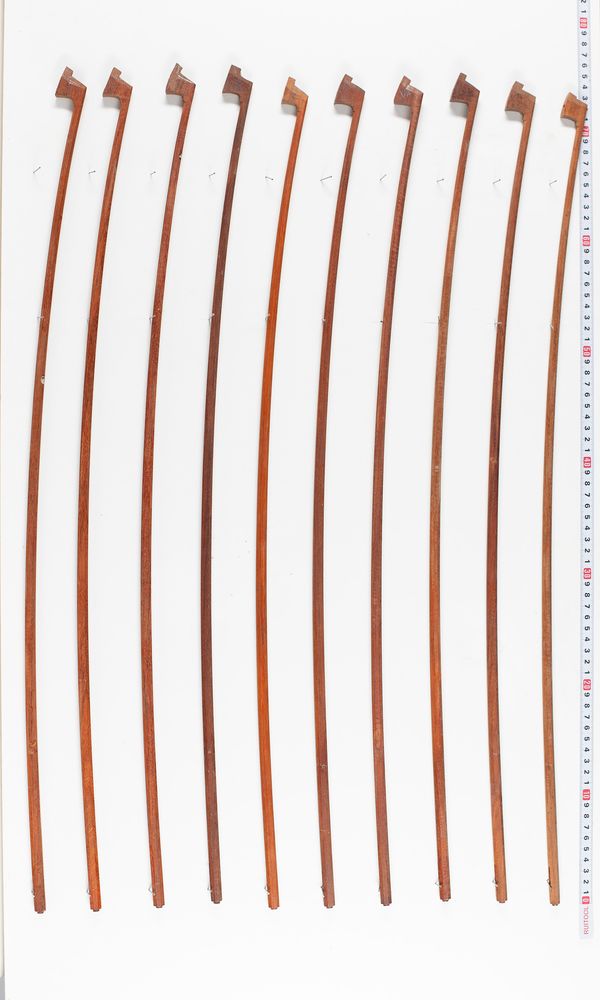 Ten pernambuco bow blanks