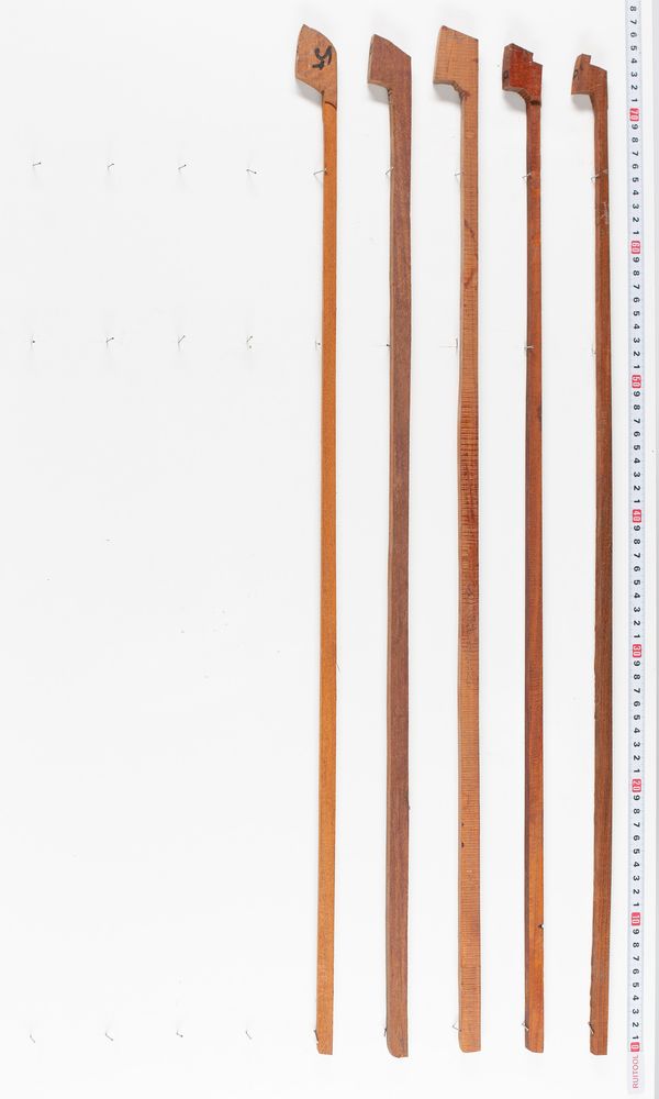 Five pernambuco bow blanks