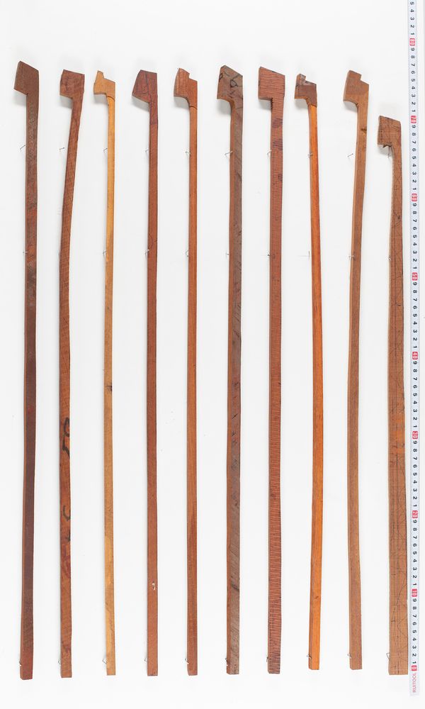 Ten pernambuco bow blanks