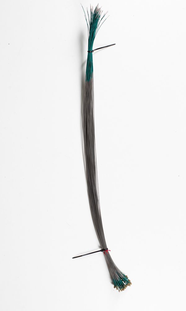 One-hundred and one violin D strings