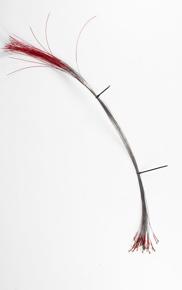 Fifty-one viola D strings