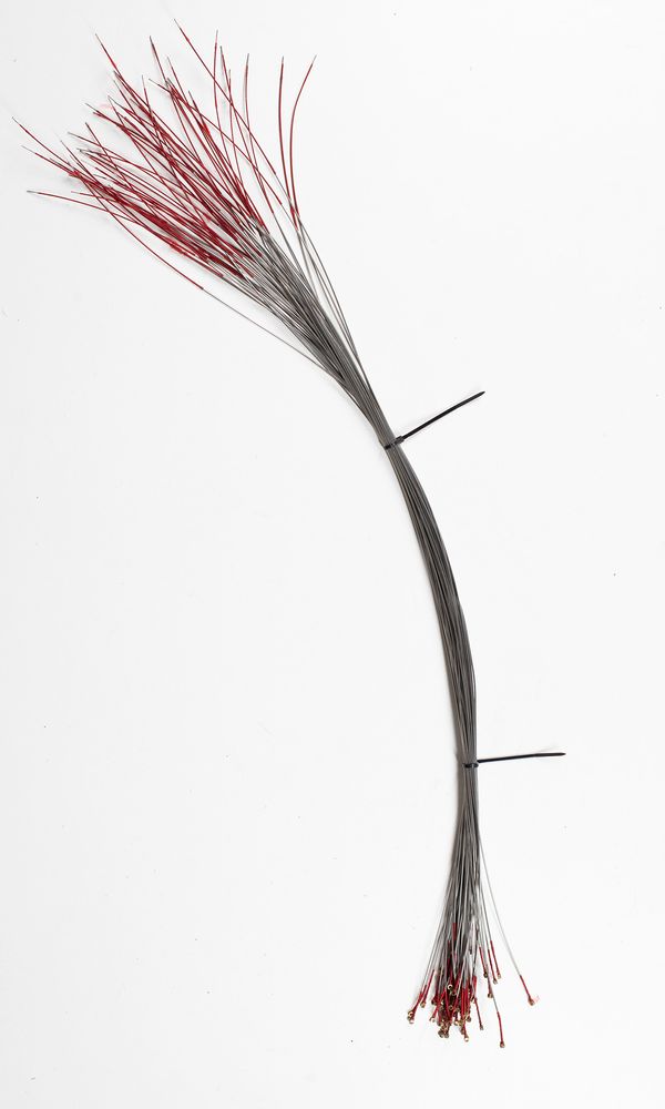 Fifty-two viola D strings